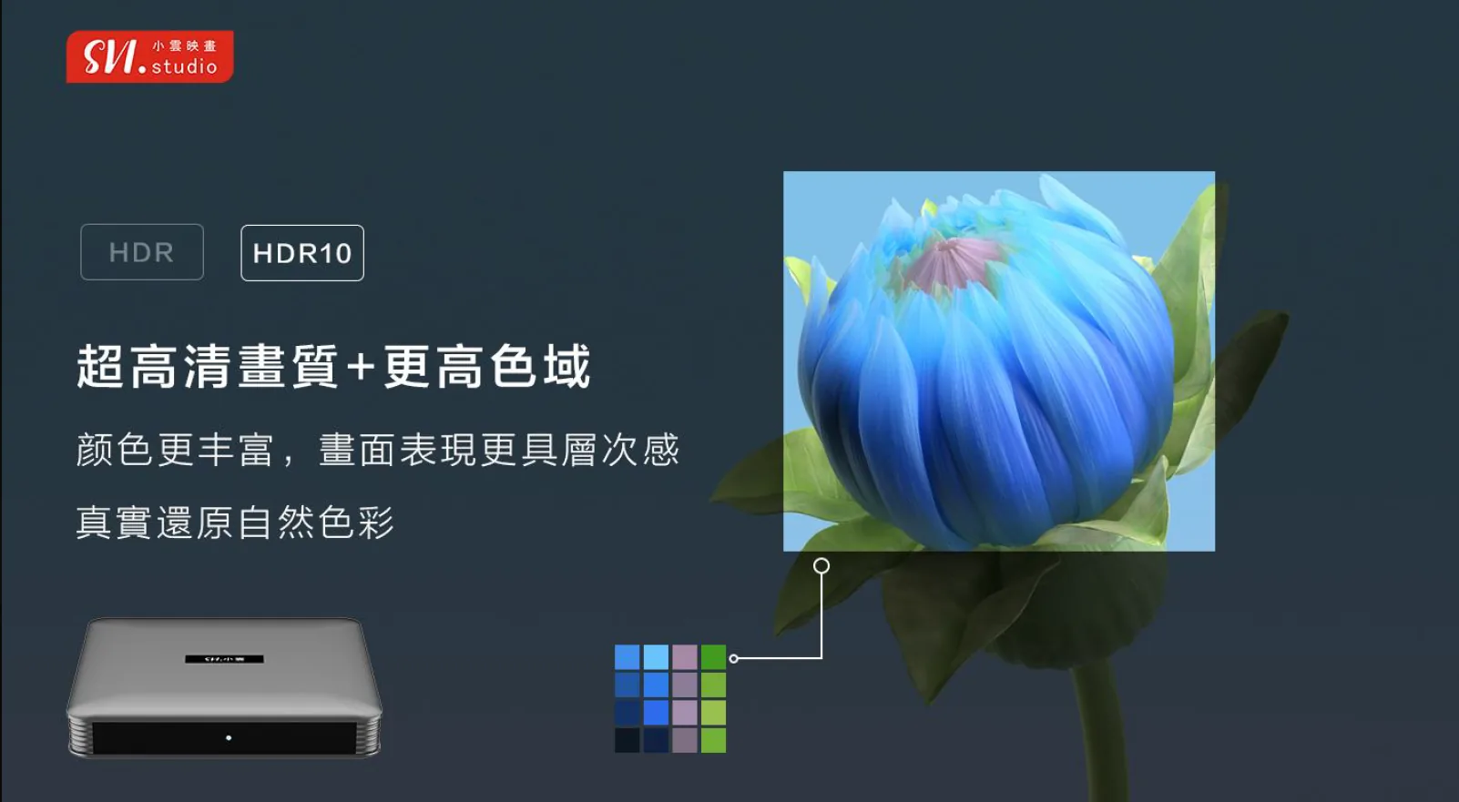 SVICLOUD 部落格示意圖：SVICLOUD 10P+ vs EVPAD 10 Pro: what families should check
